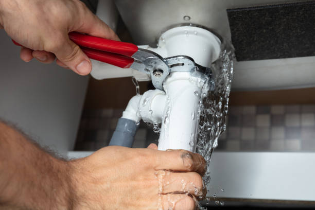 Best Carpet water damage restoration  in Dash Point, WA