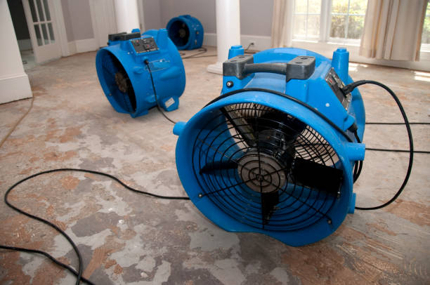 Best Ceiling water damage repair  in Dash Point, WA