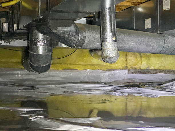 Best Basement water damage restoration  in Dash Point, WA