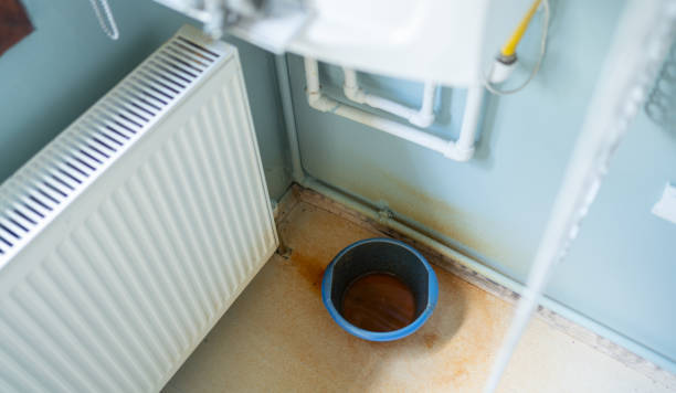 Best Water damage restoration near me  in Dash Point, WA