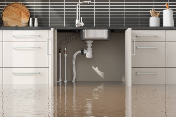 Best Water damage cleanup near me  in Dash Point, WA