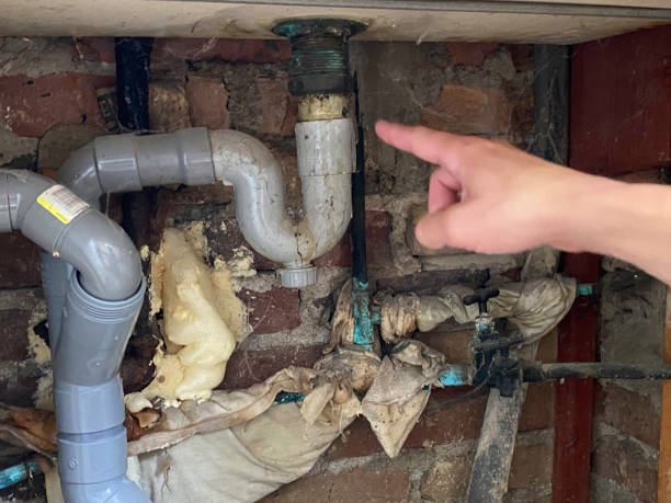 Best Professional water damage repair  in Dash Point, WA