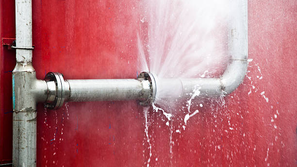 Best Flood damage cleanup  in Dash Point, WA